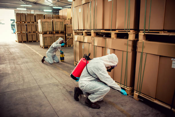 Best Pest Inspection Near Me  in Rockford, MN