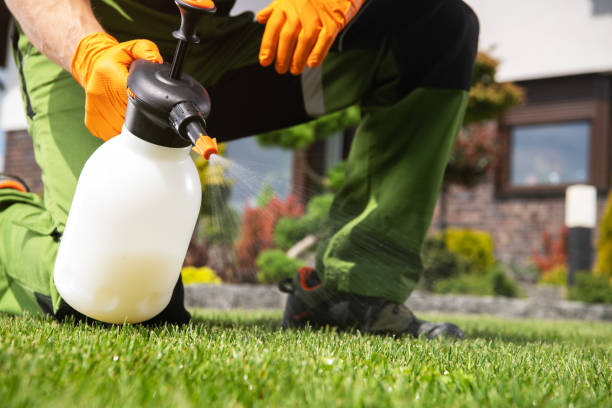 Best Exterminator Services  in Rockford, MN