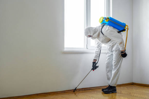 Best Pest Prevention Services  in Rockford, MN