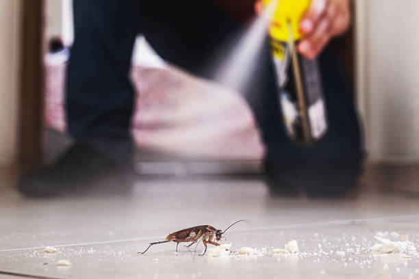 Best Exterminator Services  in Rockford, MN