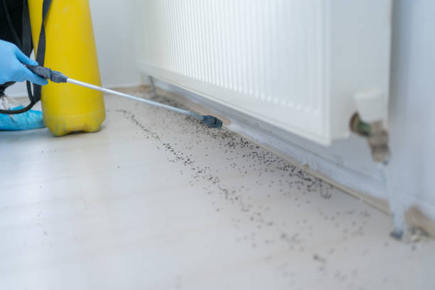 Best Best Pest Control Companies  in Rockford, MN