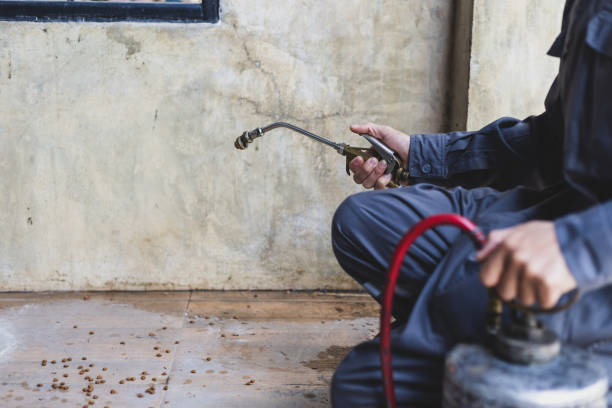 Best Local Pest Control Services  in Rockford, MN